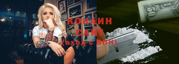 ГАЛЛЮЦИНОГЕННЫЕ ГРИБЫ Гусь-Хрустальный