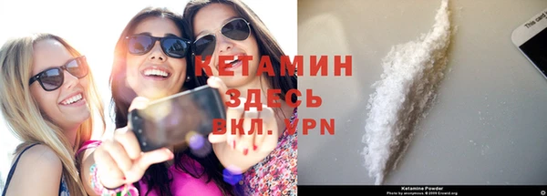 ГАЛЛЮЦИНОГЕННЫЕ ГРИБЫ Гусь-Хрустальный
