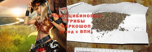 ГАЛЛЮЦИНОГЕННЫЕ ГРИБЫ Гусь-Хрустальный