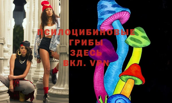 ГАЛЛЮЦИНОГЕННЫЕ ГРИБЫ Гусь-Хрустальный