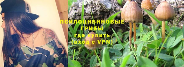 ГАЛЛЮЦИНОГЕННЫЕ ГРИБЫ Гусь-Хрустальный