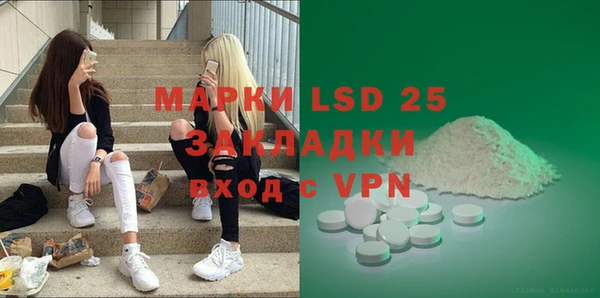 ГАЛЛЮЦИНОГЕННЫЕ ГРИБЫ Гусь-Хрустальный
