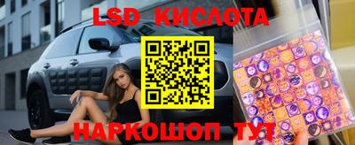 амф Новодвинск