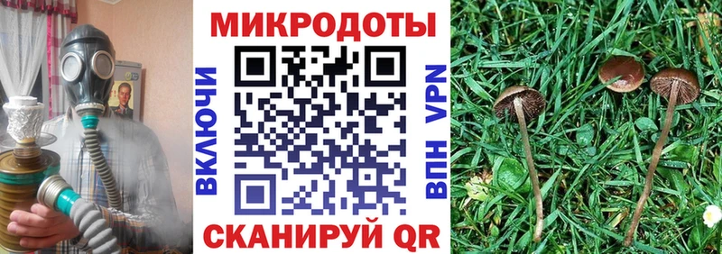 Псилоцибиновые грибы ЛСД Тольятти