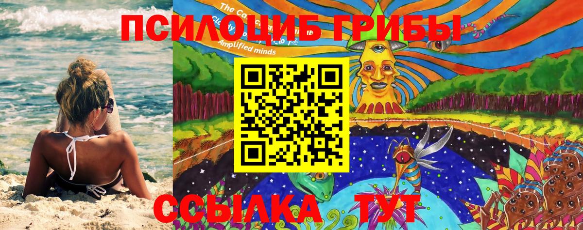 Галлюциногенные грибы мицелий Тольятти