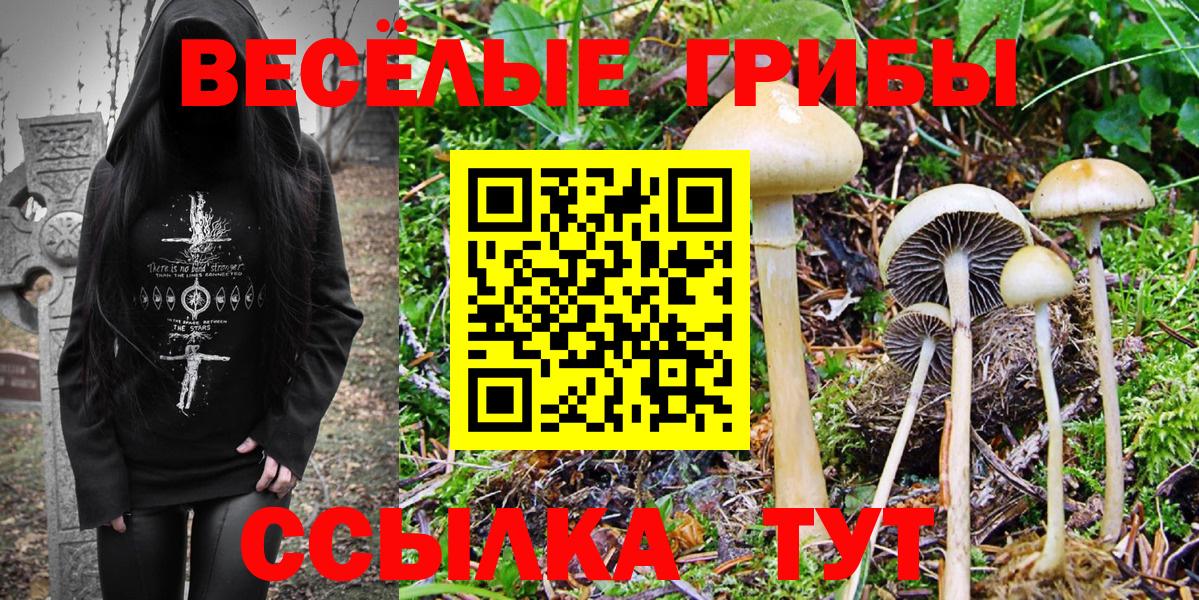 Cocaine  Тольятти  Где продают наркотики?  ЭКСТАЗИ  Мефедрон кристаллы  НБОМе  Alpha-PVP СК кристаллы  Вход с VPN  Канабис 