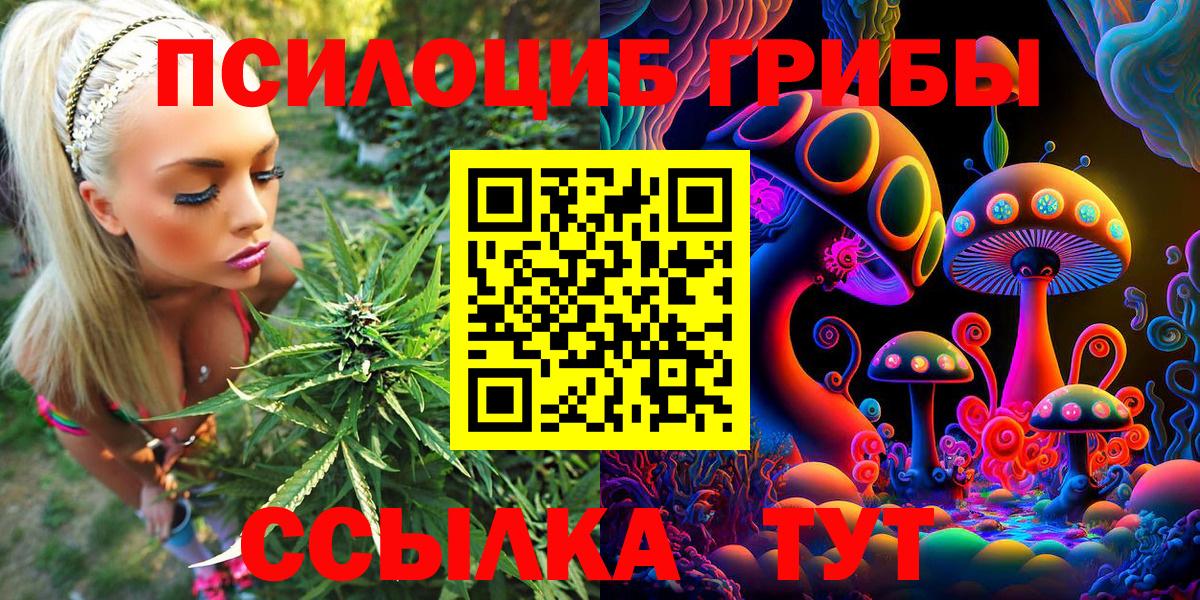 Галлюциногенные грибы Magic Shrooms  Галлюциногенные грибы MAGIC MUSHROOMS  Тольятти  Вход с VPN 